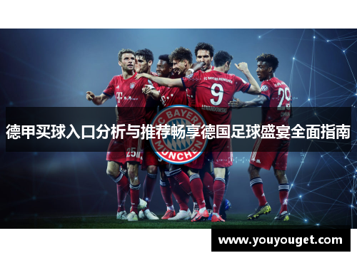 德甲买球入口分析与推荐畅享德国足球盛宴全面指南