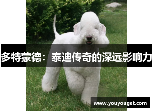 多特蒙德：泰迪传奇的深远影响力