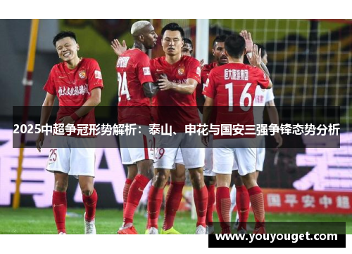2025中超争冠形势解析：泰山、申花与国安三强争锋态势分析